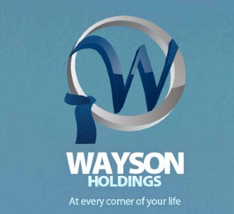 Wayson international Ltd Logo